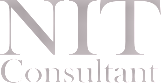 Japan IT job Software developer AI engineer | Osaka Tokyo | NIT Consultant